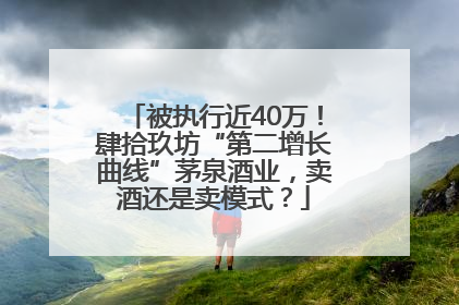 被执行近40万！肆拾玖坊“第二增长曲线”茅泉酒业，卖酒还是卖模式？