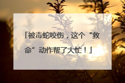 被毒蛇咬伤，这个“救命”动作帮了大忙！