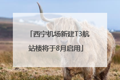 西宁机场新建T3航站楼将于8月启用