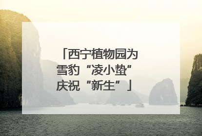 西宁植物园为雪豹“凌小蛰”庆祝“新生”