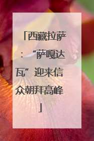 西藏拉萨：“萨嘎达瓦”迎来信众朝拜高峰