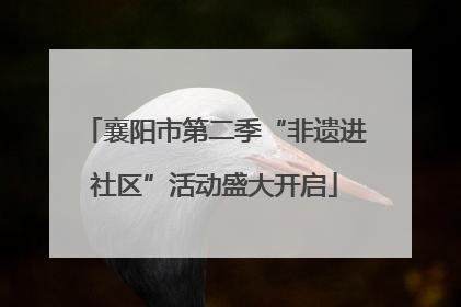 襄阳市第二季“非遗进社区”活动盛大开启