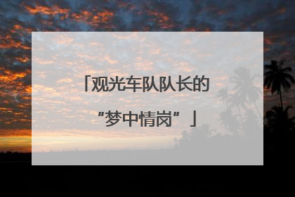 观光车队队长的“梦中情岗”