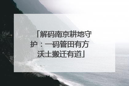解码南京耕地守护：一码管田有方 沃土搬迁有道