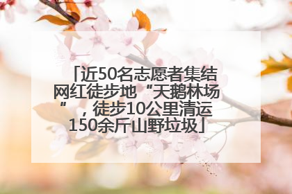近50名志愿者集结网红徒步地“天鹅林场”，徒步10公里清运150余斤山野垃圾