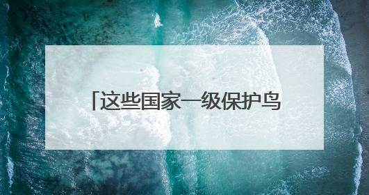 这些国家一级保护鸟类，你认识多少？