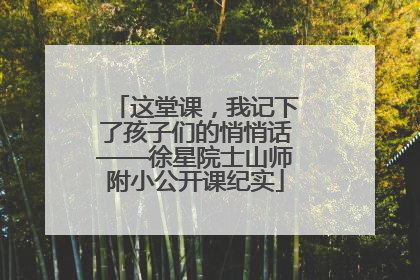 这堂课，我记下了孩子们的悄悄话——徐星院士山师附小公开课纪实