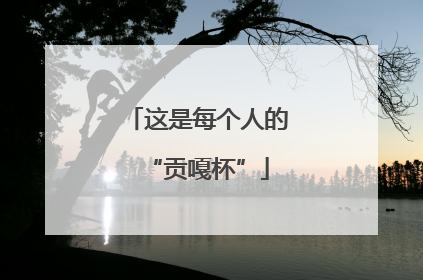 这是每个人的“贡嘎杯”