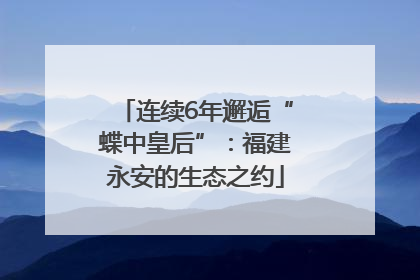 连续6年邂逅“蝶中皇后”：福建永安的生态之约