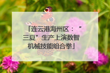 连云港海州区：“三夏”生产上演数智机械技能组合拳