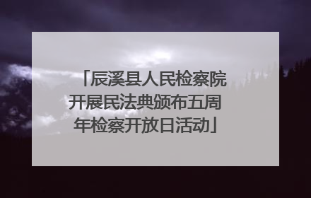 辰溪县人民检察院开展民法典颁布五周年检察开放日活动