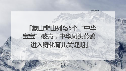 象山韭山列岛5个“中华宝宝”破壳，中华凤头燕鸥进入孵化育儿关键期
