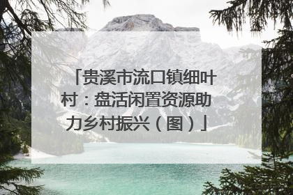 贵溪市流口镇细叶村：盘活闲置资源助力乡村振兴（图）
