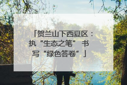 贺兰山下西夏区：执“生态之笔” 书写“绿色答卷”