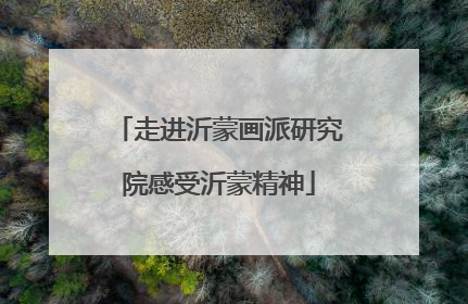 走进沂蒙画派研究院感受沂蒙精神