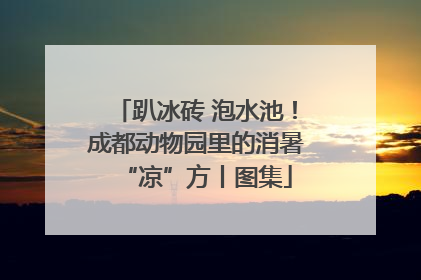 趴冰砖 泡水池！成都动物园里的消暑“凉”方丨图集