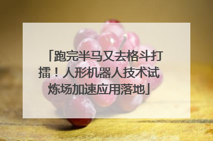跑完半马又去格斗打擂！人形机器人技术试炼场加速应用落地