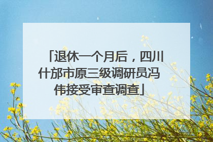 退休一个月后，四川什邡市原三级调研员冯伟接受审查调查