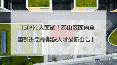 递补1人面试！泰山区面向全国引进急需紧缺人才最新公告