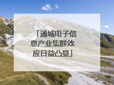 通城电子信息产业集群效应日益凸显