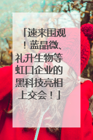 速来围观！蓝晶微、礼升生物等虹口企业的黑科技亮相上交会！