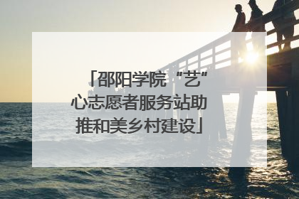 邵阳学院“艺”心志愿者服务站助推和美乡村建设