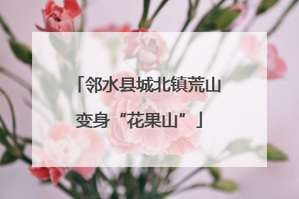 邻水县城北镇荒山变身“花果山”