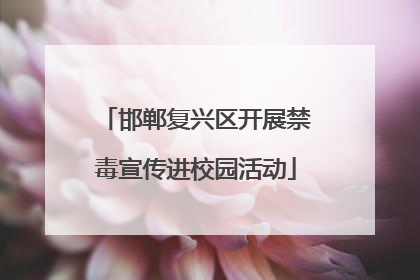 邯郸复兴区开展禁毒宣传进校园活动