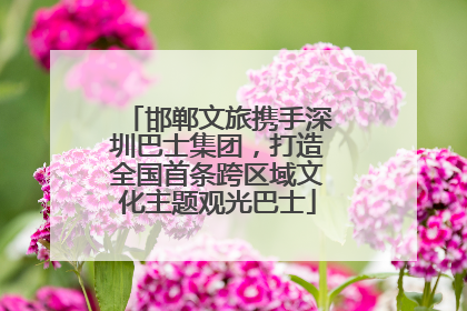 邯郸文旅携手深圳巴士集团，打造全国首条跨区域文化主题观光巴士