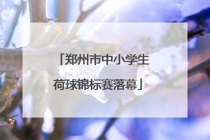 郑州市中小学生荷球锦标赛落幕