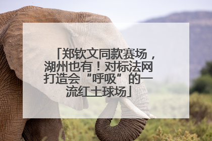 郑钦文同款赛场，湖州也有！对标法网打造会“呼吸”的一流红土球场