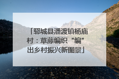 郓城县潘渡镇杨庙村：草藤编织“编”出乡村振兴新图景