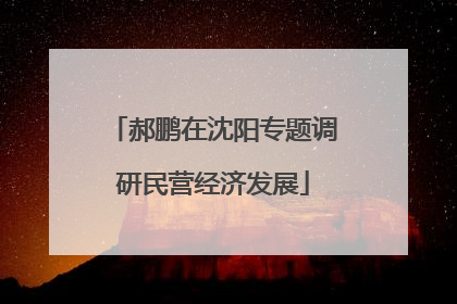 郝鹏在沈阳专题调研民营经济发展
