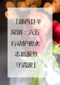 郧西县羊尾镇：六五行动护碧水 志愿服务守清波