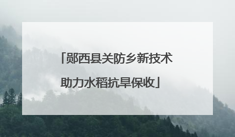郧西县关防乡新技术助力水稻抗旱保收