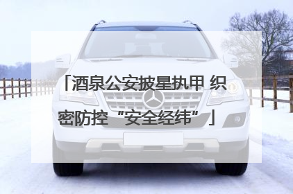 酒泉公安披星执甲 织密防控“安全经纬”