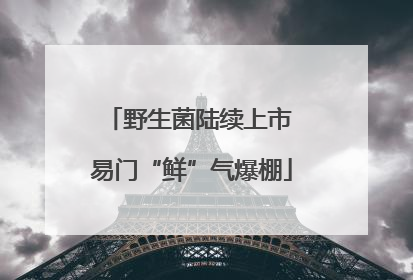 野生菌陆续上市 易门“鲜”气爆棚