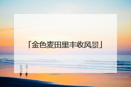 金色麦田里丰收风景