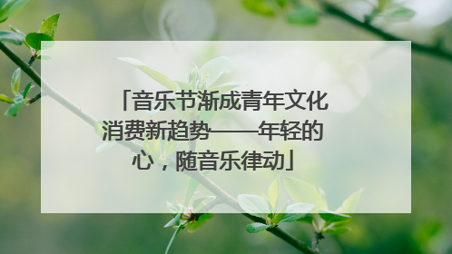 音乐节渐成青年文化消费新趋势——年轻的心，随音乐律动