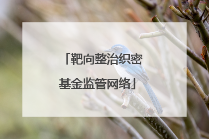 靶向整治织密基金监管网络