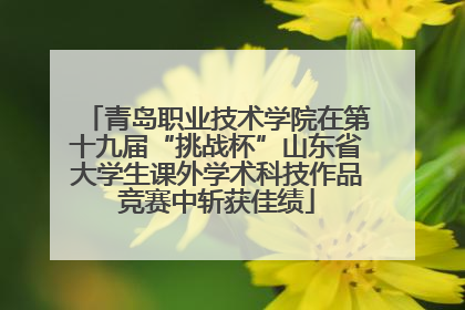 青岛职业技术学院在第十九届“挑战杯”山东省大学生课外学术科技作品竞赛中斩获佳绩