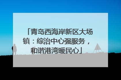 青岛西海岸新区大场镇：综治中心强服务，和谐港湾暖民心