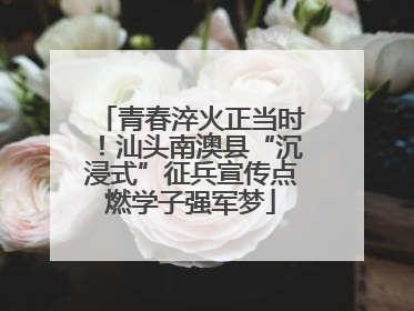 青春淬火正当时！汕头南澳县“沉浸式”征兵宣传点燃学子强军梦