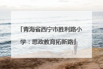 青海省西宁市胜利路小学：思政教育拓新路