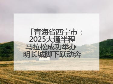 青海省西宁市：2025大通半程马拉松成功举办 明长城脚下跃动奔跑音符