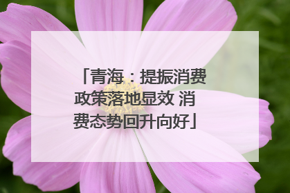 青海：提振消费政策落地显效 消费态势回升向好