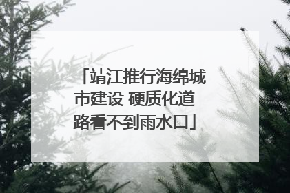 靖江推行海绵城市建设 硬质化道路看不到雨水口