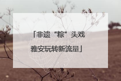 非遗“粽”头戏 雅安玩转新流量