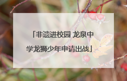 非遗进校园 龙泉中学龙狮少年申请出战