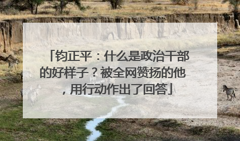 钧正平：什么是政治干部的好样子？被全网赞扬的他，用行动作出了回答